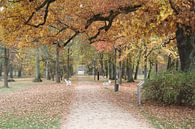 Weg im Luitpoldpark in Bad Kissingen von Martin Flechsig Miniaturansicht