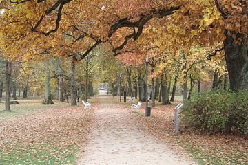 Weg im Luitpoldpark in Bad Kissingen