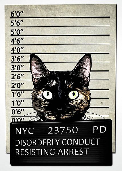 kitty van Helga Kawailani