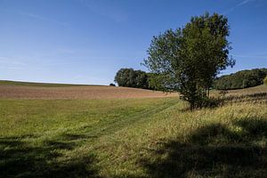 Landschap in Lof met bomen