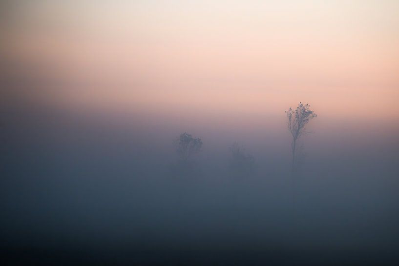 Mist in the polder by Rik Verslype