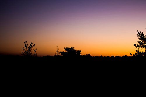 zonsopgang in het bos