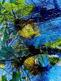 cool flower sur Birgit Kerber