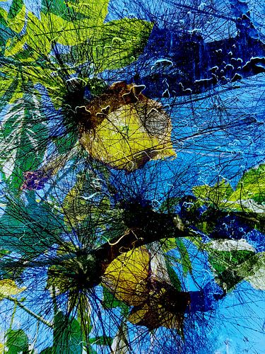 cool flower von Birgit Kerber