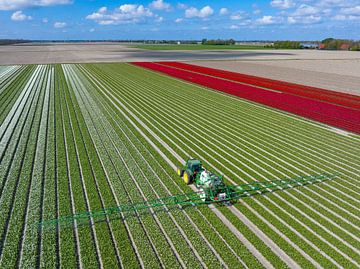 Tulips with an agricultural crops sprayer in a field by Sjoerd van der Wal Photography