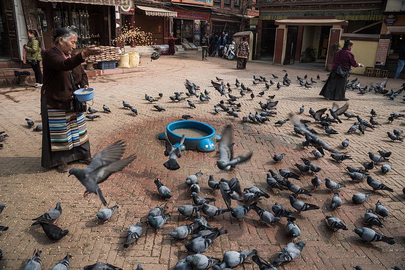 Tauben auf einem Platz in Kathmandu bekommen Futter | Nepal von Photolovers reisfotografie