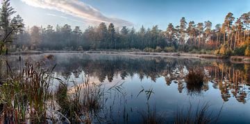 Couleurs d'automne sur Peter Zendman