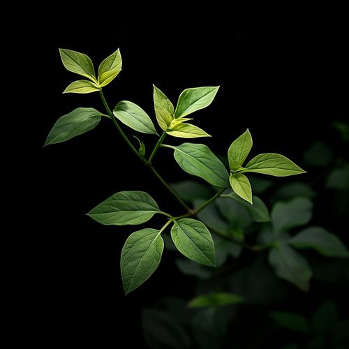 Groene plant portret