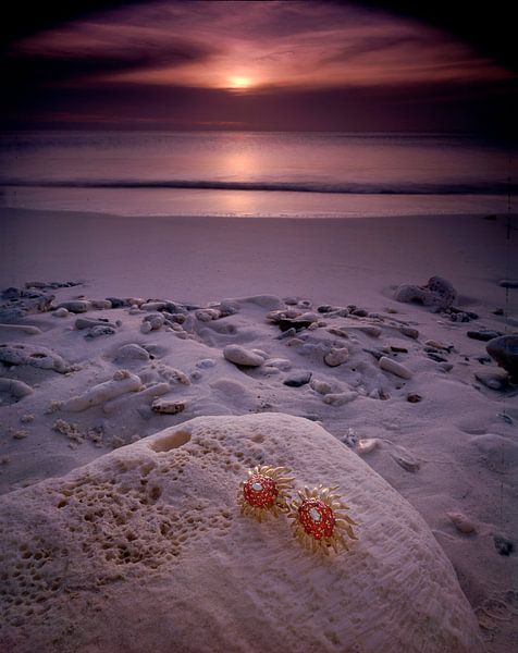 jewel in the caribbean 1 von ernst de groot