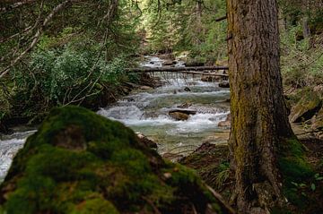 Powerful water in Oostentijk by Wendy de Jong