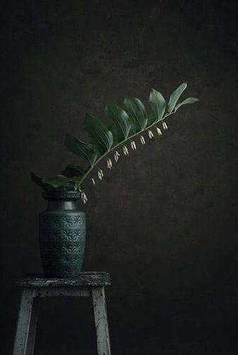 Solomon's seal