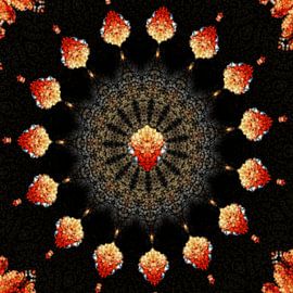 Caleidoscoop met oranje tinten nummer 2 van Carla van Zomeren