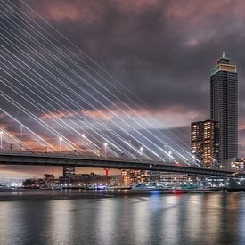 Zalmhaventoren hoogste wolkenkrabber in Rotterdam van Kees Dorsman