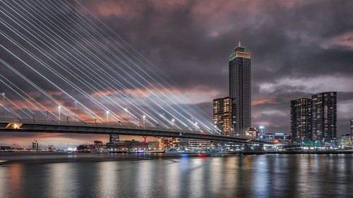 Zalmhaventoren hoogste wolkenkrabber in Rotterdam