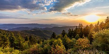 View from the Schliffkopf in the Black Forest National Park by Werner Dieterich