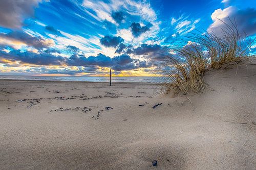 Sunset from the dunes