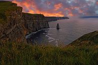Cliffs of Moher Irland von Babetts Bildergalerie Miniaturansicht