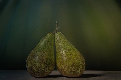 Still life of two pears