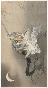 Ohara Koson - Gehoornde uil met maan (bewerkt) van Peter Balan