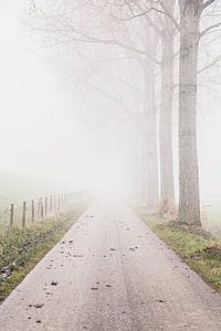 Un chemin de ferme dans le brouillard