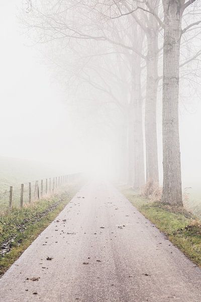 A farm road in the fog by Petra Brouwer