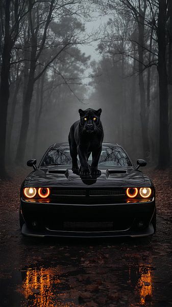 Panthers Challenger by John Dan