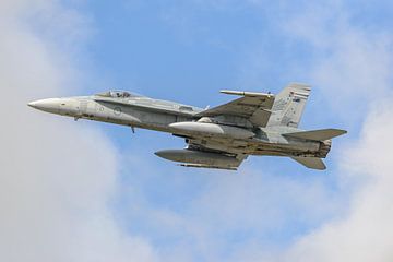 McDonnell Douglas F/A-18A Hornet van de Australische luchtmacht. van Jaap van den Berg