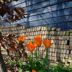 . Ein sonniger Tag im Frühling. von YVON Bilderbeek