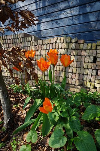 . Een zonnige dag in 't voorjaar.