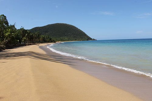 Strand Guadeloupe