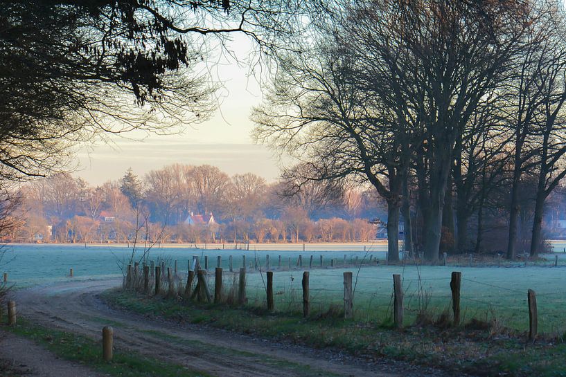 walking on a winter day by Tania Perneel
