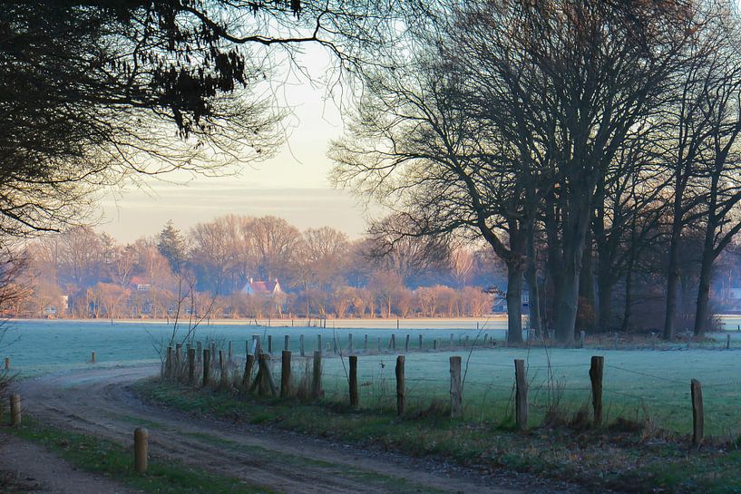 Wandern an einem Wintertag von Tania Perneel