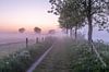 Dauwtripje tijdens een mistige ochtend langs de Leie in Wevelgem van Fotografie Krist / Top Foto Vlaanderen thumbnail