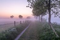 Taufahrt an einem nebligen Morgen entlang der Leie in Wevelgem von Fotografie Krist / Top Foto Vlaanderen Miniaturansicht