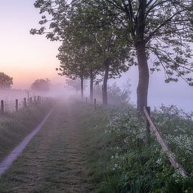 Taufahrt an einem nebligen Morgen entlang der Leie in Wevelgem von Fotografie Krist / Top Foto Vlaanderen