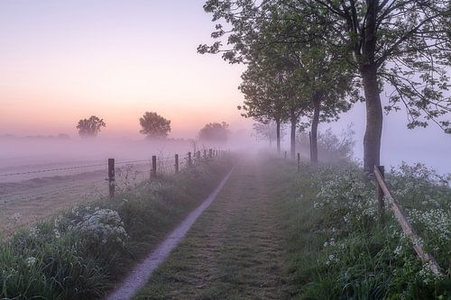 Dauwtripje tijdens een mistige ochtend langs de Leie in Wevelgem