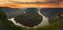 Grote Saarlus bij zonsopgang van Markus Lange