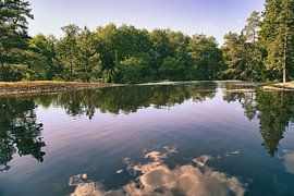 Idyllischer See in Schweden, mit Baum und Wolkenspiegelungen in klarer Naturkulisse