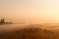 Polder met zonsopgang