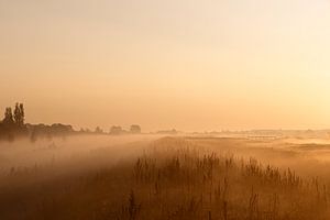 Polder met zonsopgang