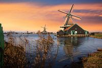Zaanse Schans
