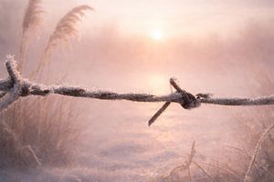 Zartes Licht am Morgen