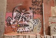 Gipsy style portrait van Jan Katuin thumbnail