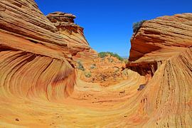 The Wave, South Coyote Buttes von Antwan Janssen