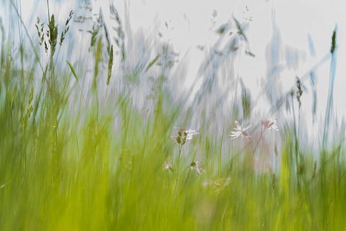 Printemps