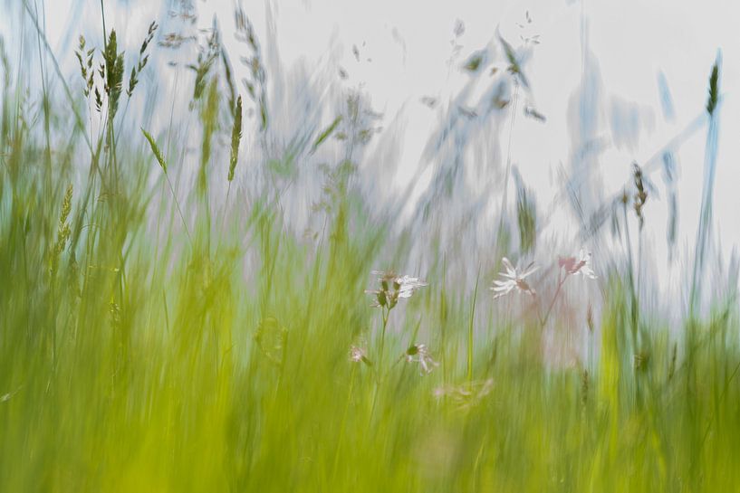 Frühling von Jose Gieskes