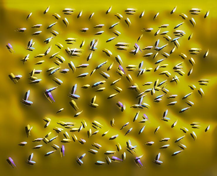 Zierfische auf gold von Leopold Brix