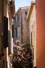 Saint Tropez by ton vogels