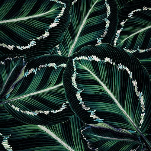 TROPISCH GROEN BLADEREN PATROON-2