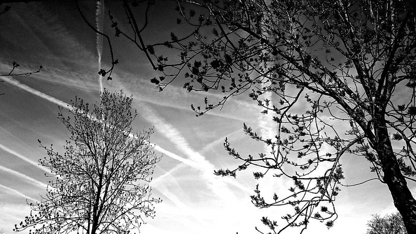 Chemtrail  par Ria De Jonge